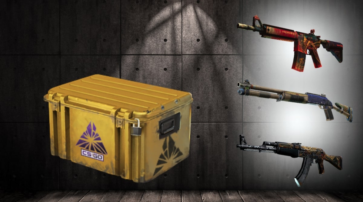 Skisn in the Fracture Case CSGO