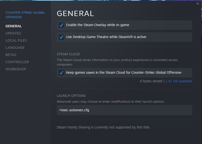 csgo autoexec launch options