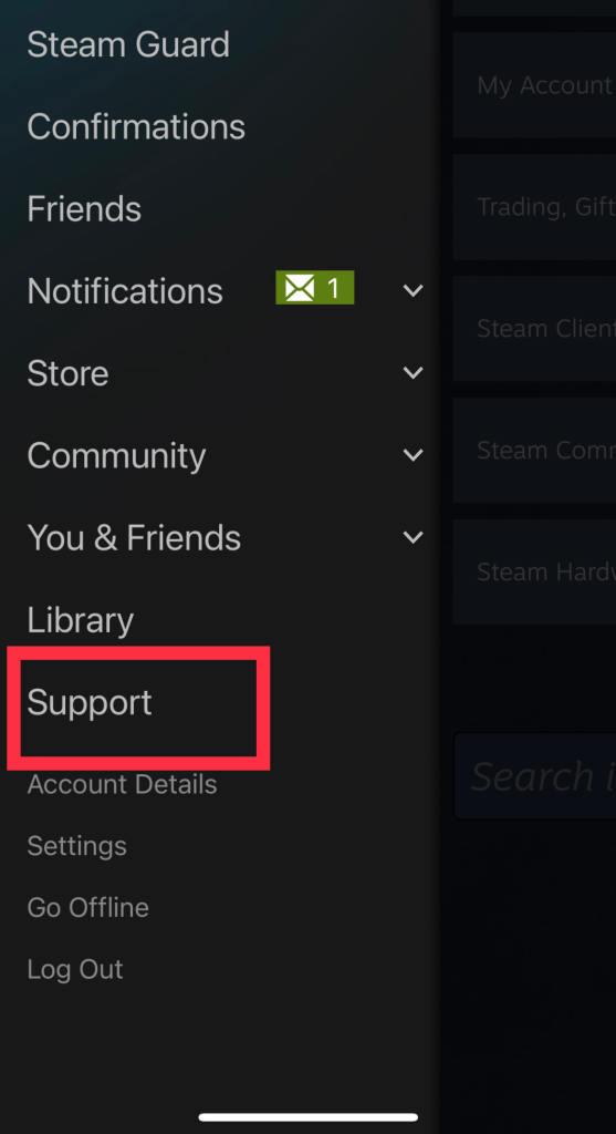 steam support