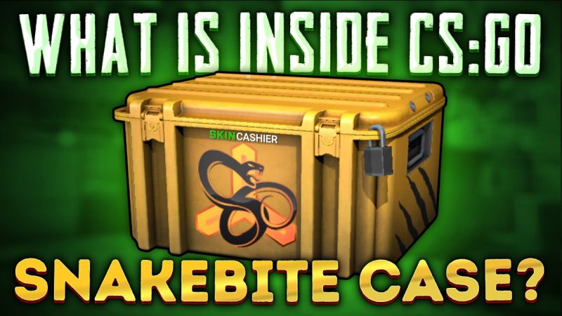 the best snakebite case skins