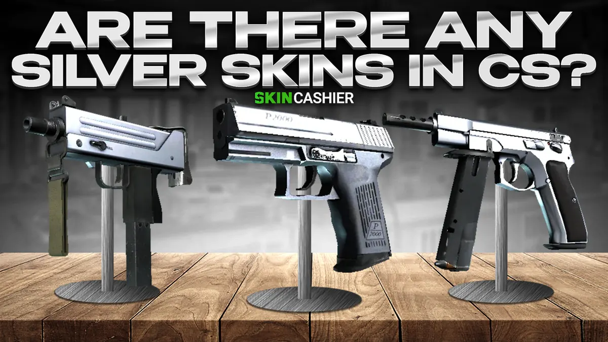 CS2 Inventar >> ABSOLUT Beste CSGO Silver Skins