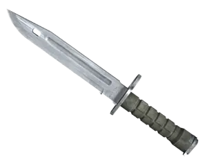 bayonet csgo