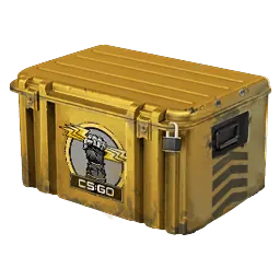 glove case