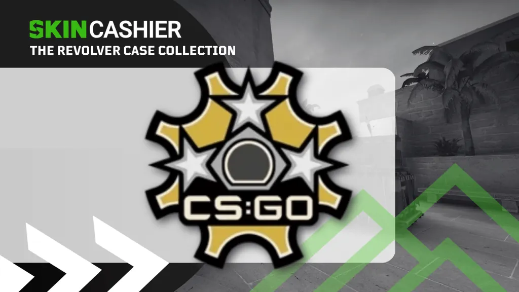 Revolver Case