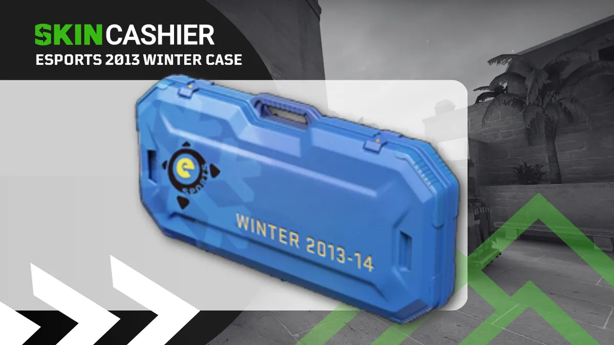 eSports 2013 Winter Case